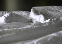 “Grounding Sheets: Do They Really Reduce Inflammation?” “Grounding Sheets: Do They Really Reduce Inflammation?”