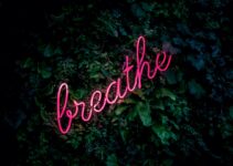“The Science Behind Daily Meditation and Its Benefits” “The Science Behind Daily Meditation and Its Benefits”