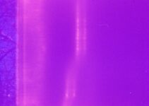 “Why Purple Toothpaste Might Be the Best Whitening Option for You” “Why Purple Toothpaste Might Be the Best Whitening Option for You”