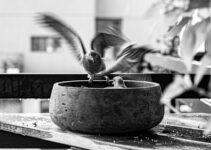 “Why Curating Your Social Media Feed is Essential for Mental Health”