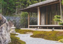 “How to Cultivate Patience in an Instant-Gratification World” “How to Cultivate Patience in an Instant-Gratification World”