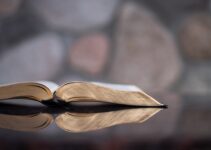 “How to Cultivate a Passion for Lifelong Learning”