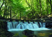 “How to Create Momentum in Your Personal Growth Journey”