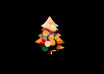“Pet Safety: Avoiding Holiday Hazards Like Decorations and Chocolate”