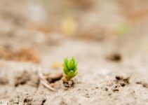 “The 16 Best Personal Development Blogs to Read in 2024”
