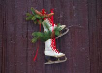 “Choosing the Best Winter Coats and Boots for Dogs”