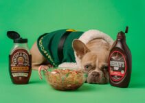“Understanding Your Pet’s Nutritional Needs in Cold Weather”