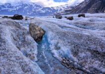 “Cold Plunge Therapy: Can It Really Boost Your Dopamine Levels?”