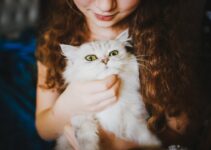 “Why You Should Consider Fostering Pets During the Holidays”