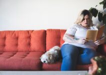 “Understanding the Health Risks of Overfeeding Pets During Holidays” “Understanding the Health Risks of Overfeeding Pets During Holidays”