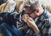 “How to Create a Pet-Friendly Home Environment” “How to Create a Pet-Friendly Home Environment”