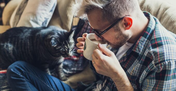 Photo Pet-friendly furniture