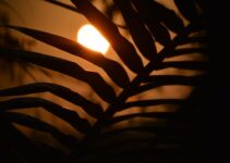 “How to Let Go of Past Failures and Move Forward”
