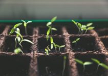 “How to Build Stronger Relationships Through Personal Growth”