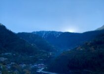 “The Impact of a Digital Detox on Personal Growth”
