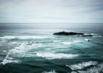 “Overcoming Fear of Change: Embrace New Opportunities”