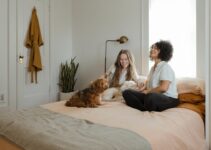 “Understanding Your Dog’s Body Language: A Visual Guide” “Understanding Your Dog’s Body Language: A Visual Guide”