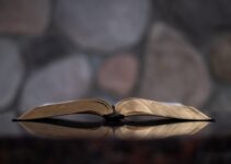 “The Role of Curiosity in Personal Development”