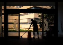 “Pet-Friendly Home Cleaning Solutions”
