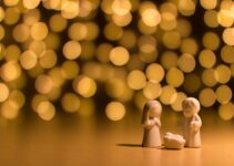 “Pet Safety During Holidays”