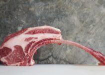 “Raw Diet for Pets: Pros and Cons” “Raw Diet for Pets: Pros and Cons”