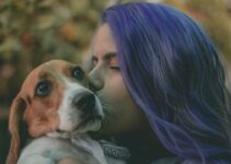 “Understanding Common Pet Allergies”