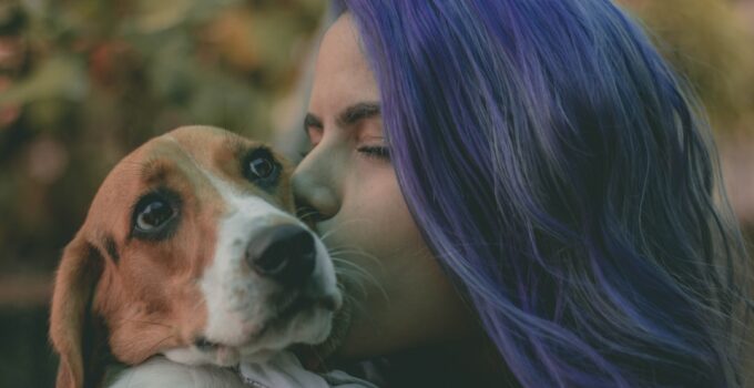 Photo Pet hair