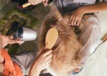“Long-Hair Pet Grooming Guide” “Long-Hair Pet Grooming Guide”