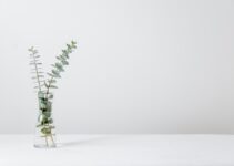 “How to Celebrate After Surviving Tax Day: Reward Ideas”