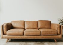 “Pet-Friendly Furniture Choices” “Pet-Friendly Furniture Choices”