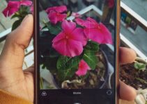 “Top 10 AI Image Enhancers That Transform Blurry Photos in Seconds”