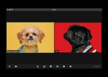 “The Art Director’s Guide to AI Image Enhancement: Maintaining Brand Consistency”