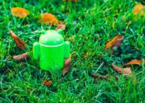 “Android vs. iOS: Which Mobile Platform Offers Superior AI Image Enhancement Apps?”