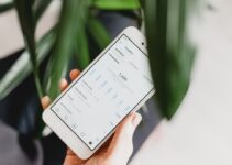 Video SEO Case Studies: Real Results and Lessons Learned