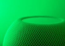 Voice Search Culture: Building Voice-First Communities Voice Search Culture: Building Voice-First Communities