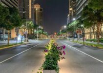 Cross-Border Social Commerce: International Social Selling