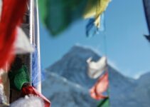 Voice Search International SEO: Multi-Language Optimization