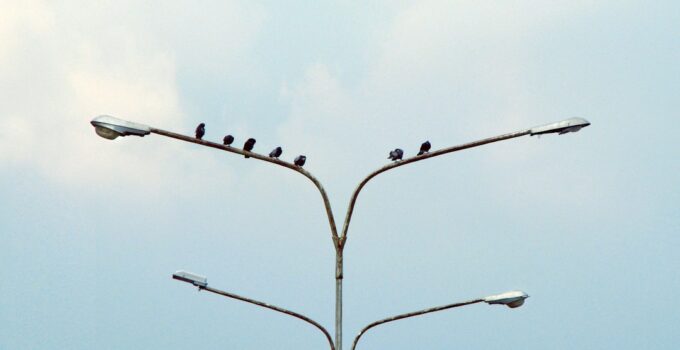 Photo Social circle