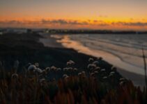 How to Practice Digital Minimalism for Better Mental Health How to Practice Digital Minimalism for Better Mental Health