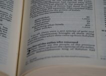 How to Use Translation Apps for Global Communication How to Use Translation Apps for Global Communication