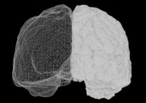How to Use Neuroscience to Optimize Your Learning