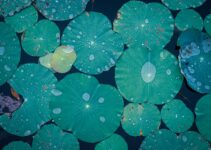 How to Develop Patience in an Instant Gratification Culture