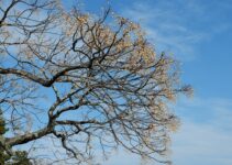 How to Create Mental Models for Better Decision Making