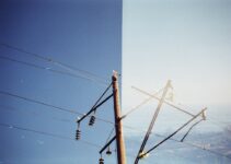 How to Use Photo Organization Apps to Manage Digital Memories