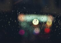 How to Use Weather Apps to Plan Your Day More Effectively