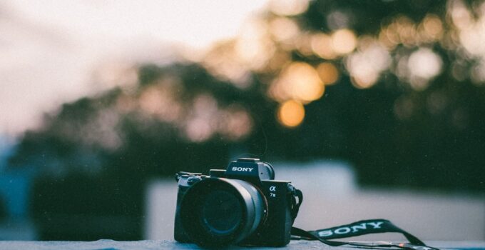 Photo Pet Photography Tips