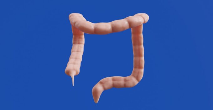Photo Digestive Health