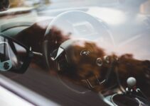 Dog Car Sickness: Prevention and Treatment Methods Dog Car Sickness: Prevention and Treatment Methods