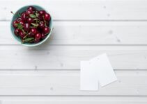 Pet Nutrition Labels: Understanding Ingredient Lists