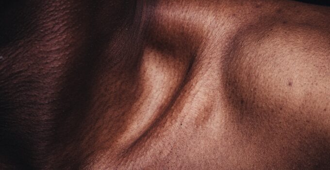 Photo Chest Training Frequency